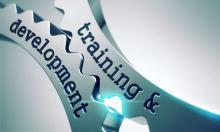 Quick Tips for Conquering the B2B Inside Sales Training Gap